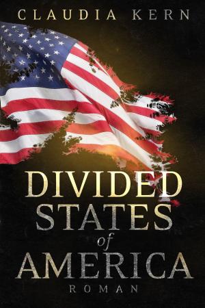Book cover of Divided States of America