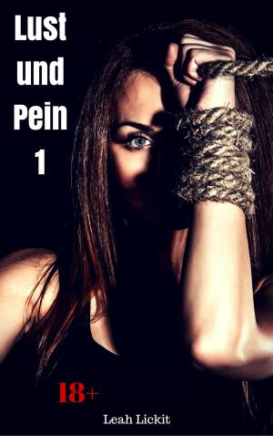 Book cover of Lust und Pein 1