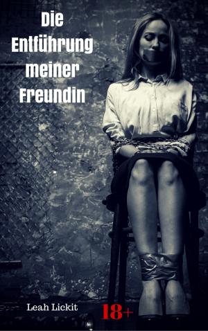 Book cover of Die Entführung meiner Freundin