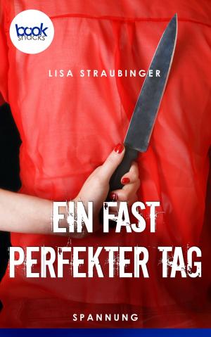 Book cover of Ein fast perfekter Tag (Kurzgeschichte)