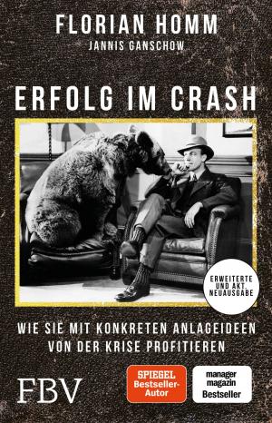 Cover of the book Erfolg im Crash by Carola Ferstl