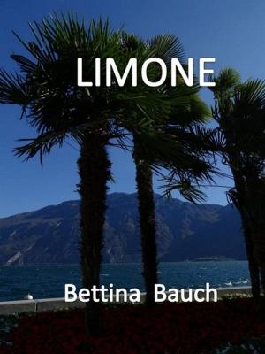 Cover of the book Limone by Peter Friedrich