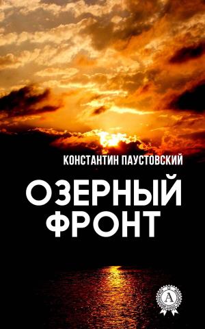 Cover of the book Озерный фронт by Александр Беляев