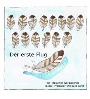 Cover of the book Der erste Flug by Wilhelm R. Vogel