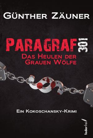 Cover of Paragraf 301: Österreich Krimi