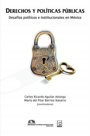 Book cover of Derechos y políticas públicas
