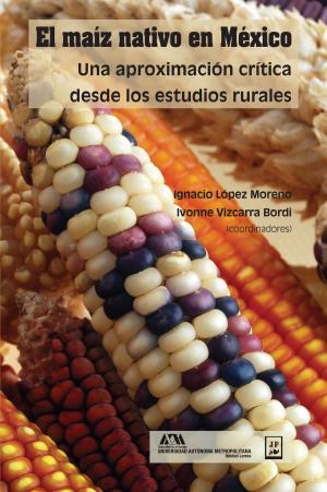 Book cover of El maíz nativo en México