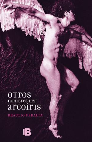 Cover of the book Otros nombres del arcoiris by José Ignacio Valenzuela