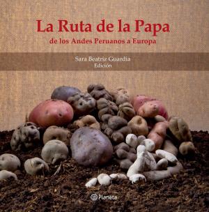 Cover of the book La ruta de la papa by Lorenzo Silva, Gonzalo Araluce, Manuel Sánchez Corbí