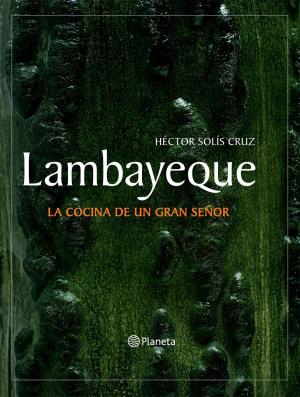 Cover of the book Lambayeque by Fernando Aramburu