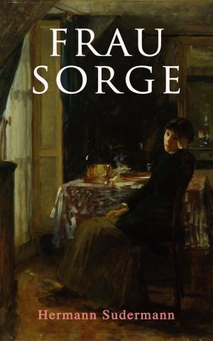 Cover of the book Frau Sorge by Robert Louis Stevenson
