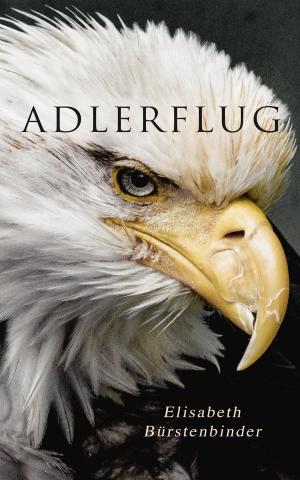 Cover of the book Adlerflug by Wilhelm Busch