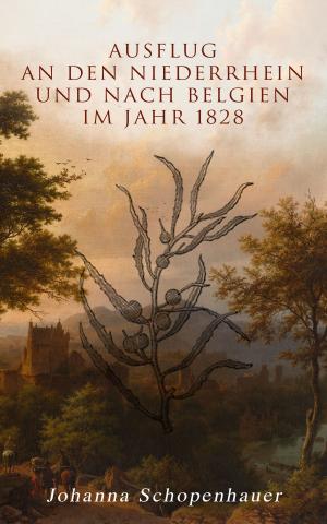 Book cover of Ausflug an den Niederrhein und nach Belgien im Jahr 1828