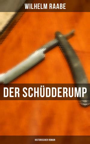 Cover of the book Der Schüdderump: Historischer Roman by Elvira Drake