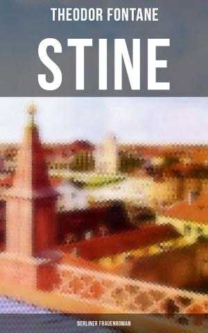 Book cover of Stine: Berliner Frauenroman