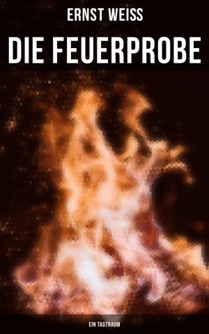 Cover of the book Die Feuerprobe: Ein Tagtraum by Nicholas Taylor