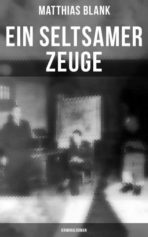 Cover of the book Ein seltsamer Zeuge: Kriminalroman by Jakob Elias Poritzky