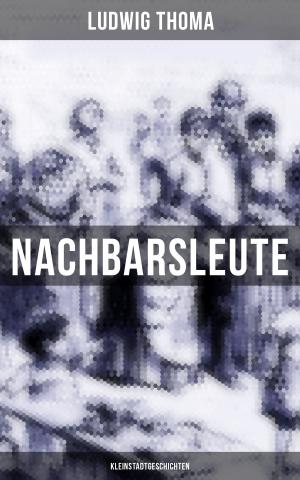 Cover of the book Nachbarsleute: Kleinstadtgeschichten by Friedrich Gottlieb Klopstock
