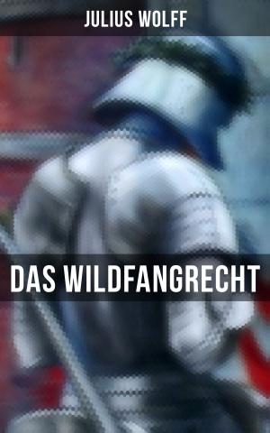 Book cover of Das Wildfangrecht