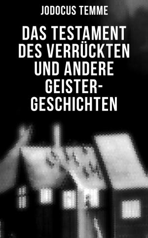 Book cover of Das Testament des Verrückten und andere Geister-Geschichten