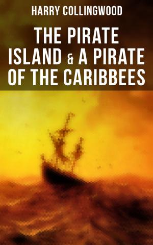 Cover of the book The Pirate Island & A Pirate of the Caribbees by James Fenimore Cooper