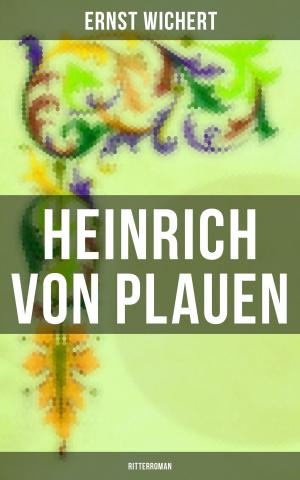 Book cover of Heinrich von Plauen: Ritterroman