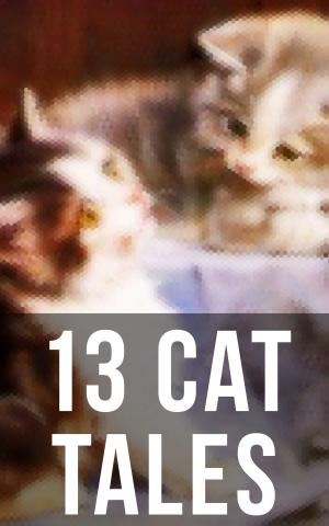 Cover of the book 13 Cat Tales by S.J.A. Turney