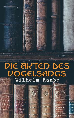 Cover of the book Die Akten des Vogelsangs by Arthur  Schopenhauer