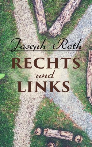 Cover of the book Rechts und Links by Talbot Mundy