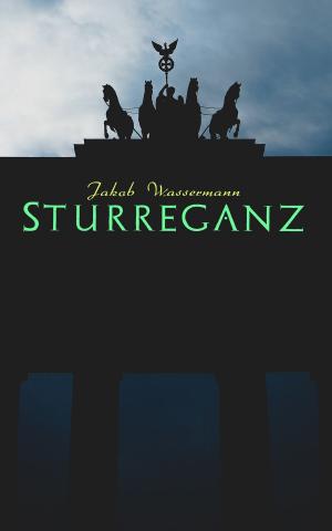 Cover of the book Sturreganz by Samuel Butler