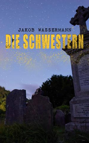 Cover of the book Die Schwestern by Ambrose Bierce