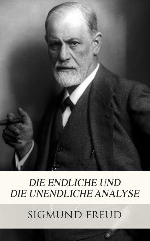 Cover of the book Die endliche und die unendliche Analyse by Edgar Allan Poe