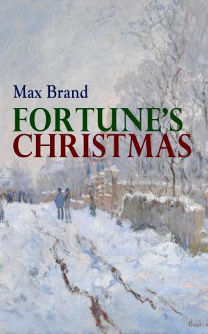 Cover of the book Fortune's Christmas by Wilhelm Raabe