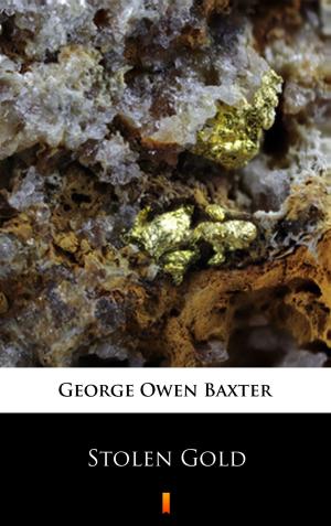 Book cover of Stolen Gold