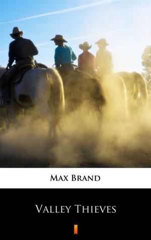Cover of the book Valley Thieves by Max Brand