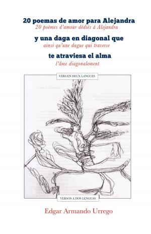 Cover of the book 20 poemas de amor para Alejandra y una daga en diagonal que te atraviesa el alma, versos a dos lenguas by C. Marie Bowen