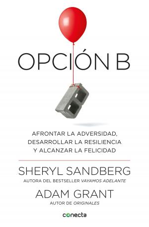 Cover of the book Opción B by Lincoln Child