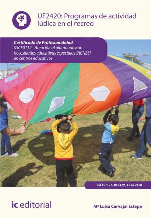 Cover of the book Programas de actividad lúdica en el recreo. SSCE0112 by Encarnación Montes Ortega, Francisco Javier Montes Ortega