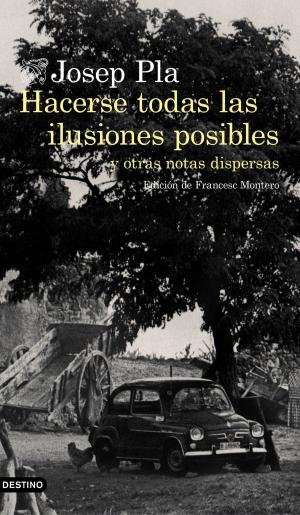 Cover of the book Hacerse todas las ilusiones posibles by Petros Márkaris