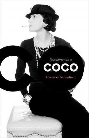 Book cover of Descubriendo a Coco
