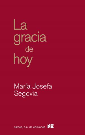 Cover of the book La gracia de hoy by Celia Carrera, Teresa López, Paloma  Matías, Consuelo Santamaría