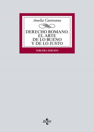 Cover of the book Derecho romano. El arte de lo bueno y de lo justo by José Antonio Rodríguez García