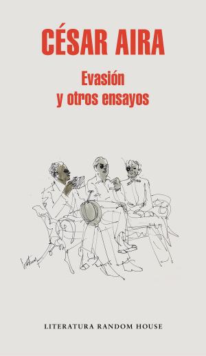 Cover of the book Evasión y otros ensayos by Michel Houellebecq