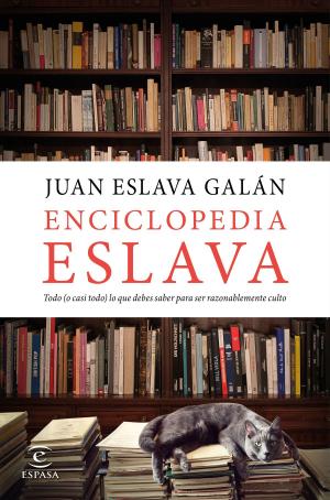 Cover of the book Enciclopedia Eslava by Stieg Larsson