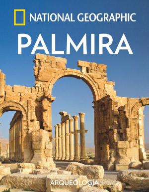 Book cover of Palmira