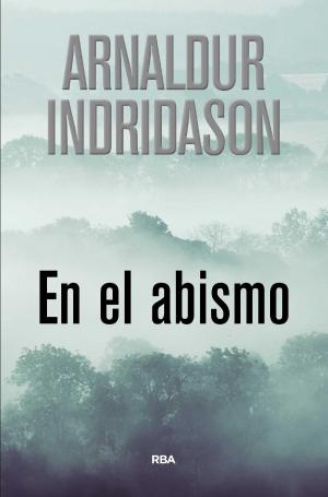 Cover of the book En el abismo by Harlan Coben