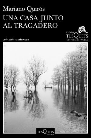 Cover of the book Una casa junto al Tragadero by Fernando Aramburu