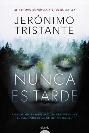 Cover of the book Nunca es tarde by Mark Wooden