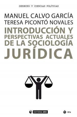 Cover of the book Introducción y perspectivas actuales de la sociología jurídica by Josep Curto Díaz