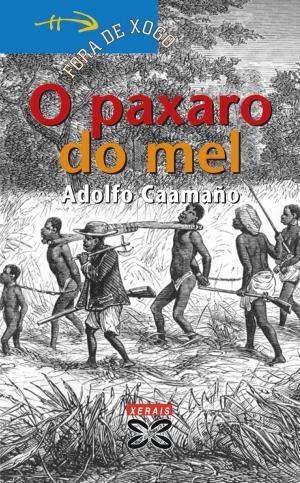 Cover of the book O paxaro do mel by María Reimóndez